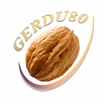 لوگو تیم ترجمه گردو 80