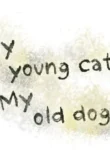 مطالعه و دانلود مانهوا My Young Cat And My Old Dog با ترجمه فارسی
