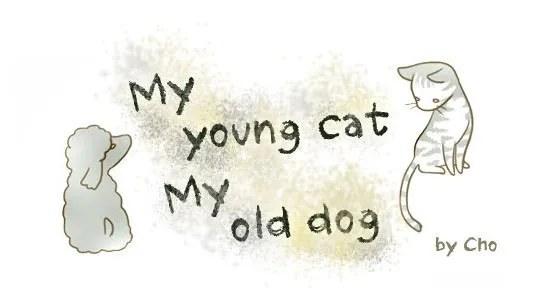 مطالعه و دانلود مانهوا My Young Cat And My Old Dog با ترجمه فارسی