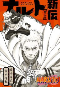 مطالعه و دانلود لایت ناول Naruto Shinden: Parent and Child Day با ترجمه فارسی