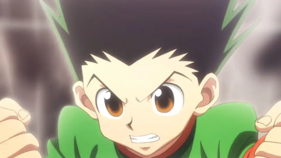 شخصیت اصلی مانگای Hunter x Hunter